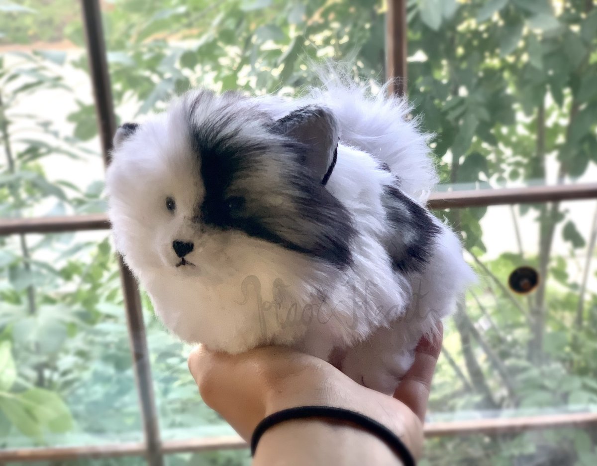 Forzaswift's tweet image. Palm-sized Pom! #handmadeplush #pomeranian #dogplush #haoandheart