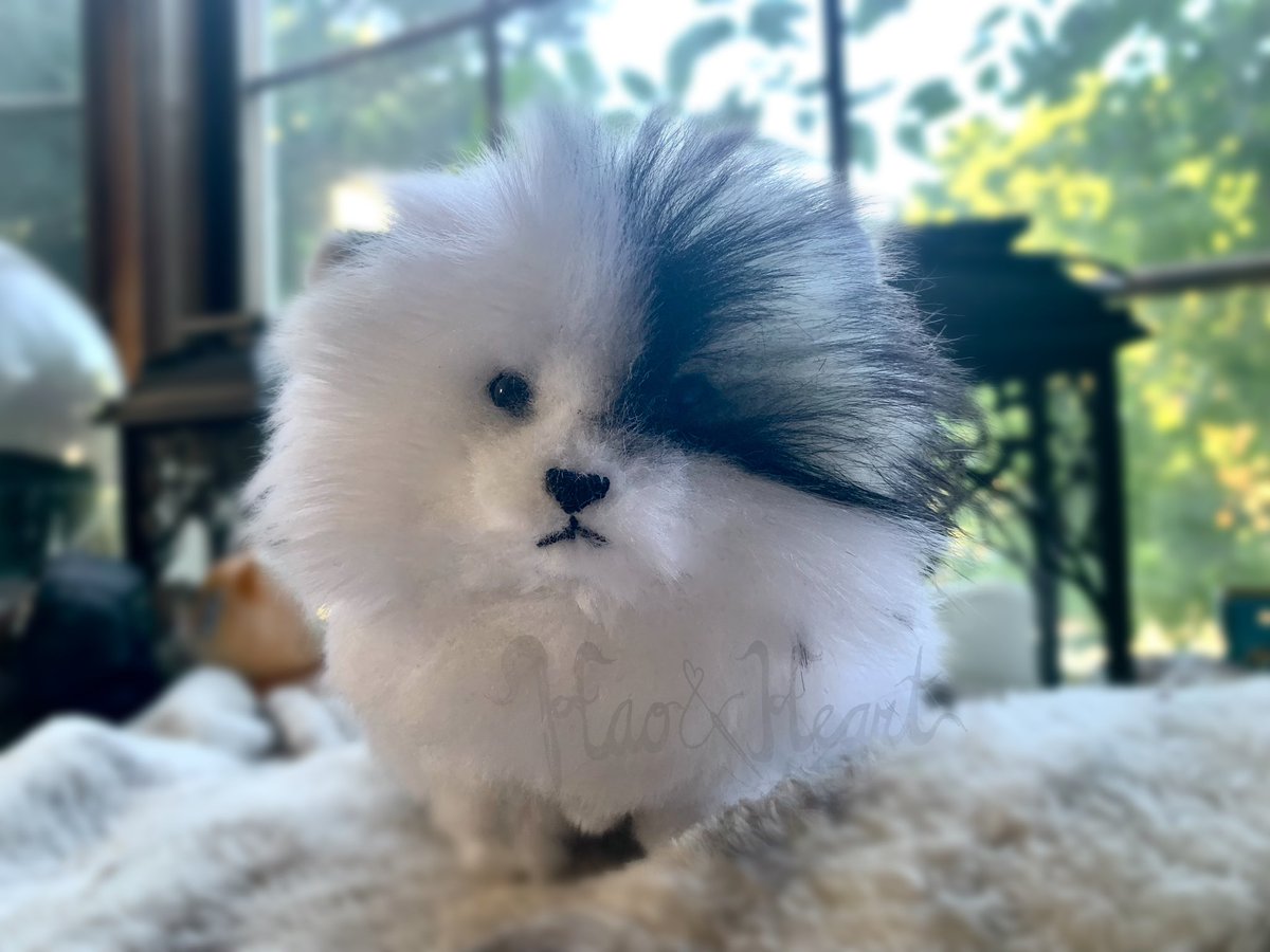 Forzaswift's tweet image. Palm-sized Pom! #handmadeplush #pomeranian #dogplush #haoandheart