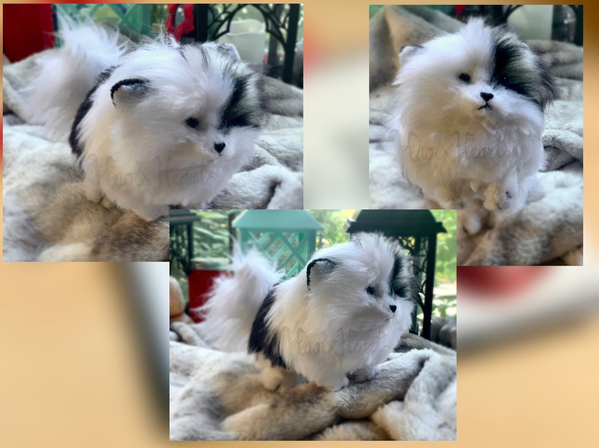Forzaswift's tweet image. Palm-sized Pom! #handmadeplush #pomeranian #dogplush #haoandheart