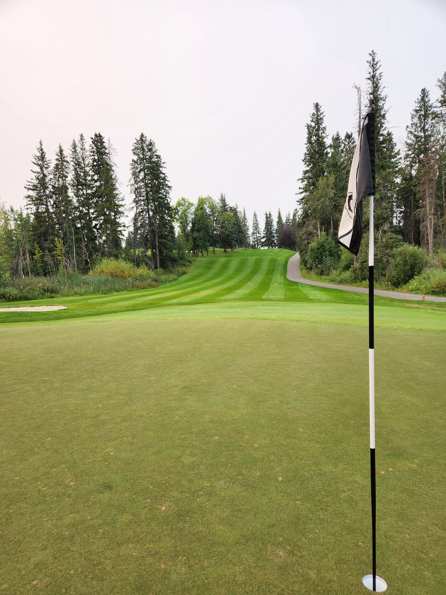 Morning prep for Day 1 of Club Champs is complete. Good luck to all <a href="/TheglendaleYeg/">The Glendale G&CC</a> Members competing this weekend. ⛳️👍