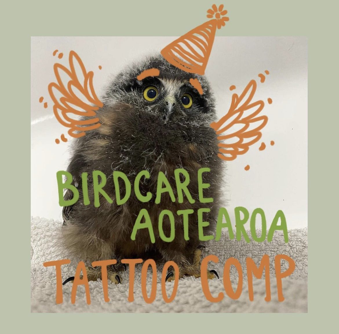 BirdCare Aotearoa tweet media
