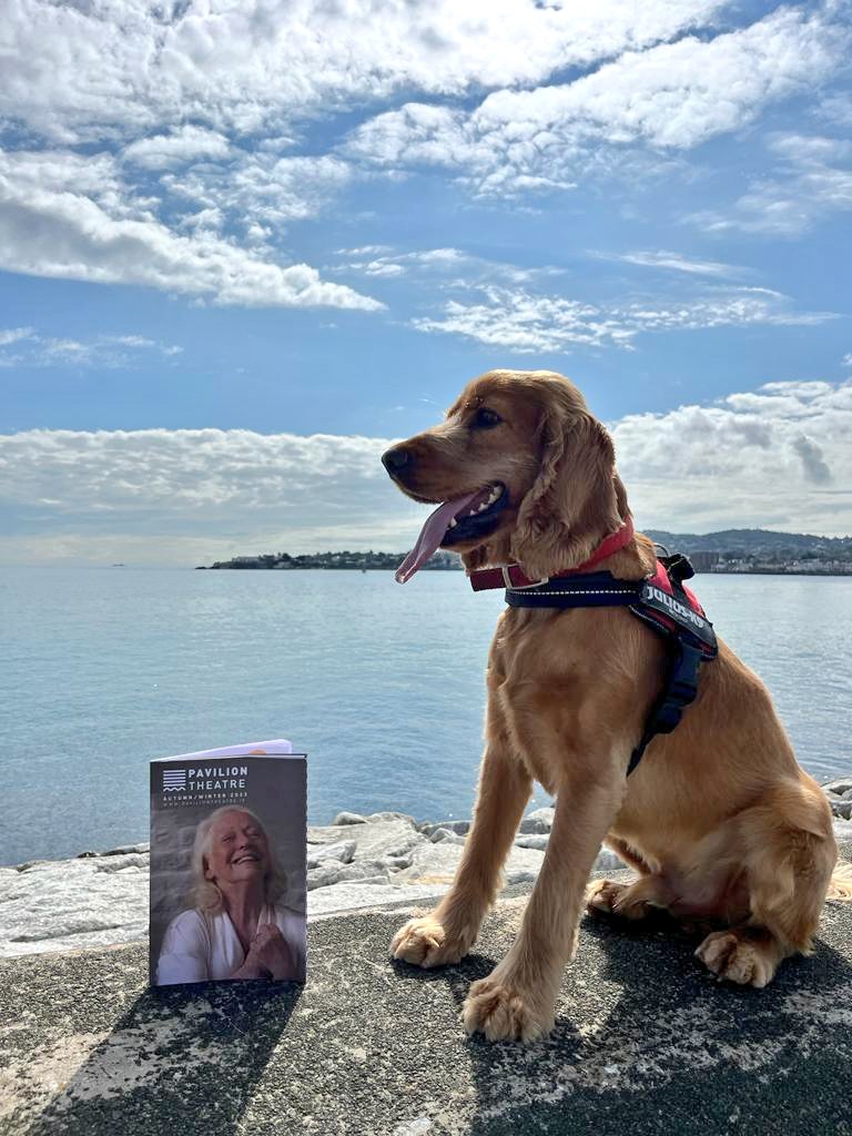 PavilionTheatre's tweet photo. Dizzee's picked up our new brochure, have you? 🐶 https://t.co/TlYjnqG9cc