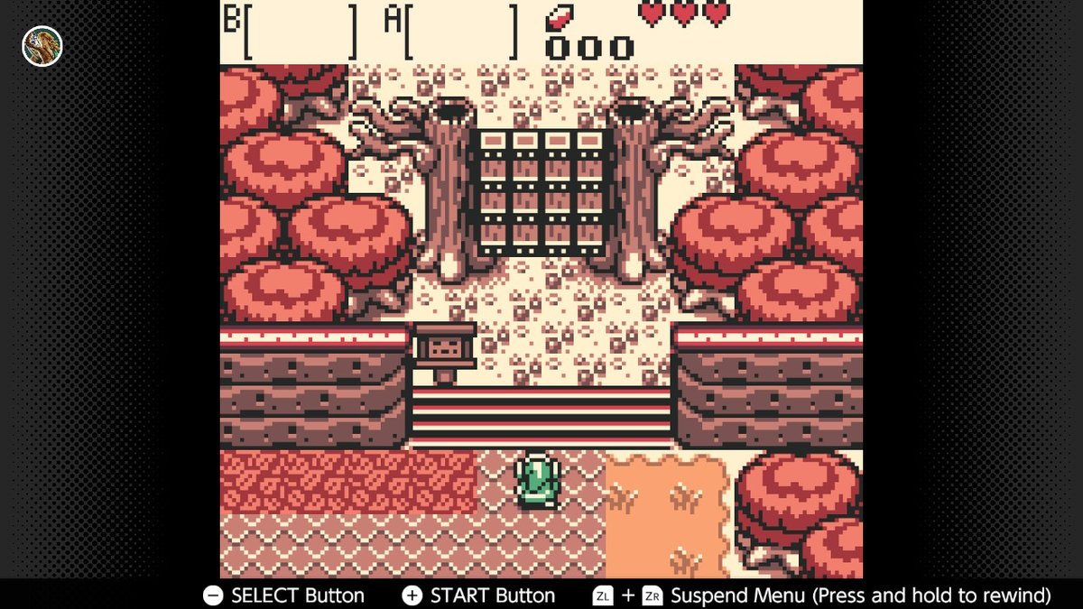 DanielKhatru's tweet photo. The memories these places have.. #OracleofSeason #GameBoy #NintendoSwitchOnline #NintendoSwitch https://t.co/ZV6wI0xM6b