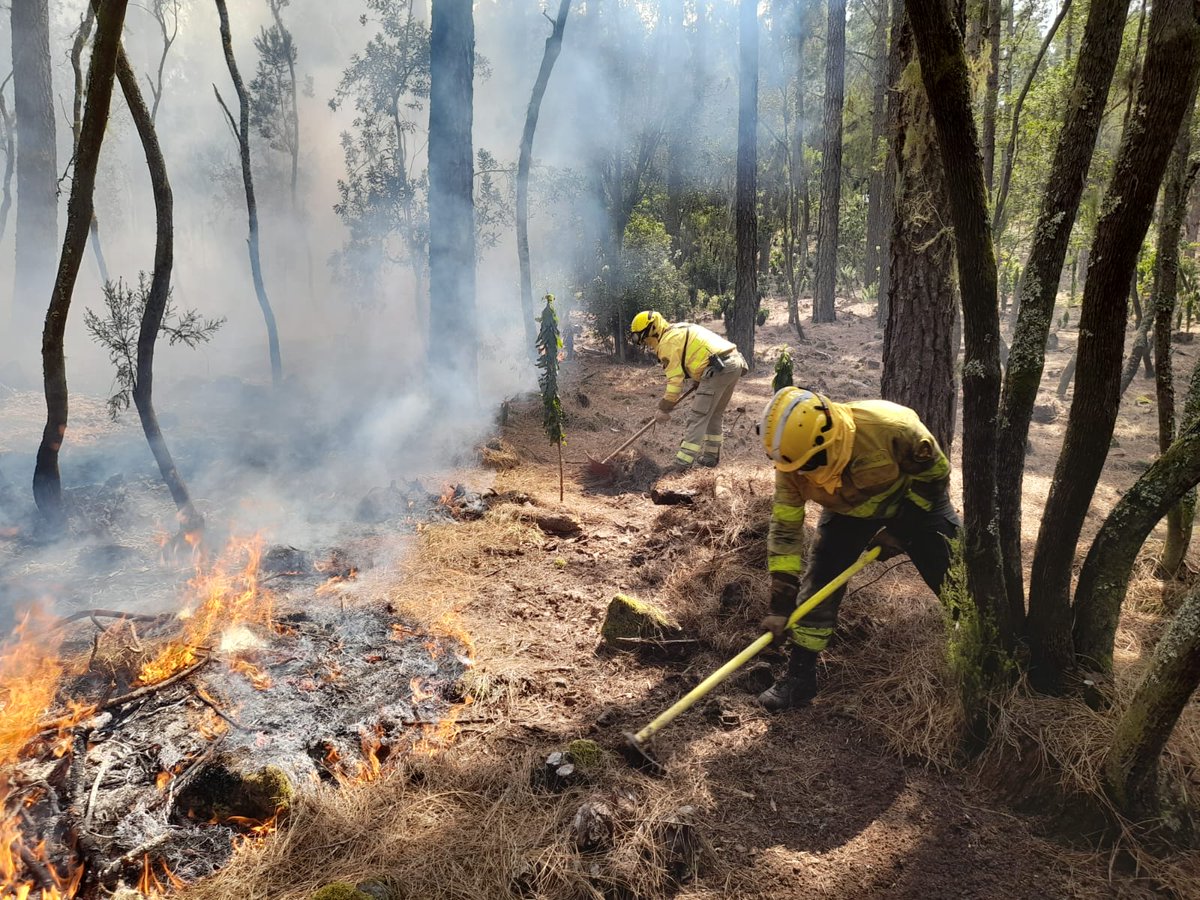 CabildoTenerife's tweet photo. 🔥 #IFArafoCandelaria #IFTenerife 

📣 Recordamos que el incendio 𝗡𝗢 𝗲𝘀𝘁𝗮́ 𝗰𝗼𝗻𝘁𝗿𝗼𝗹𝗮𝗱𝗼.

⛔ Está terminantemente 𝗽𝗿𝗼𝗵𝗶𝗯𝗶𝗱𝗼 transitar por los montes afectados.

HILO ⬇️ https://t.co/acrQ3s4olJ