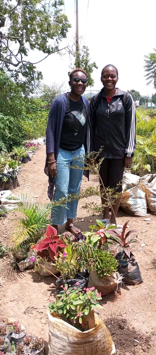 bce4allkids's tweet photo. Our first flower donors! 💐 🌷🌻🤗

Rainbow garden 🌈💐 thank you for supporting the national library children's reading garden with flowers.🌸🌹🌷💐👍

#BCE #SDG4 #Volunteers #Volunteering #Donations #SDGsProject  #ReadingGarden #readingclub #BetterClassEnvironment https://t.co/vOu9HoxK97