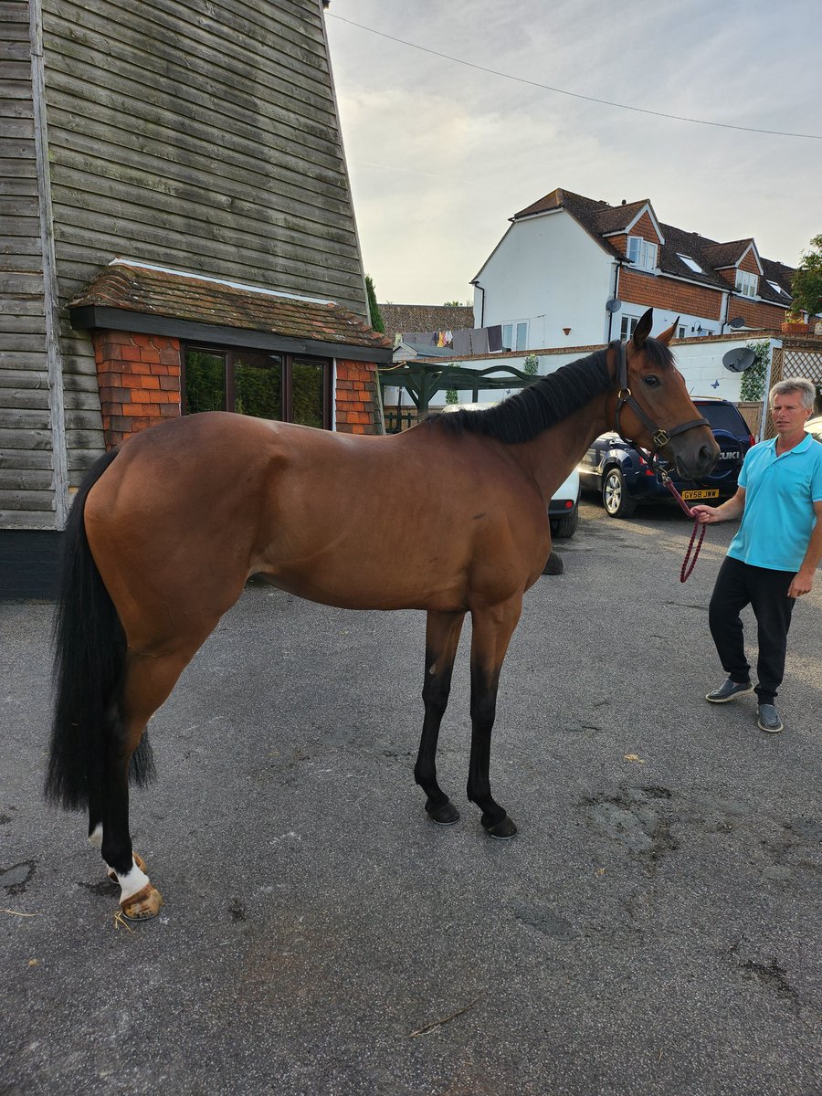 NEW horse arrived with all weather racing syndicate, cracking 3yro b.f. winner in waiting, trainer and myself have shares, purchased for the syndicate, shares are limited, so grab one asap, running end of the month, for shares go to allweatherracing.co.uk