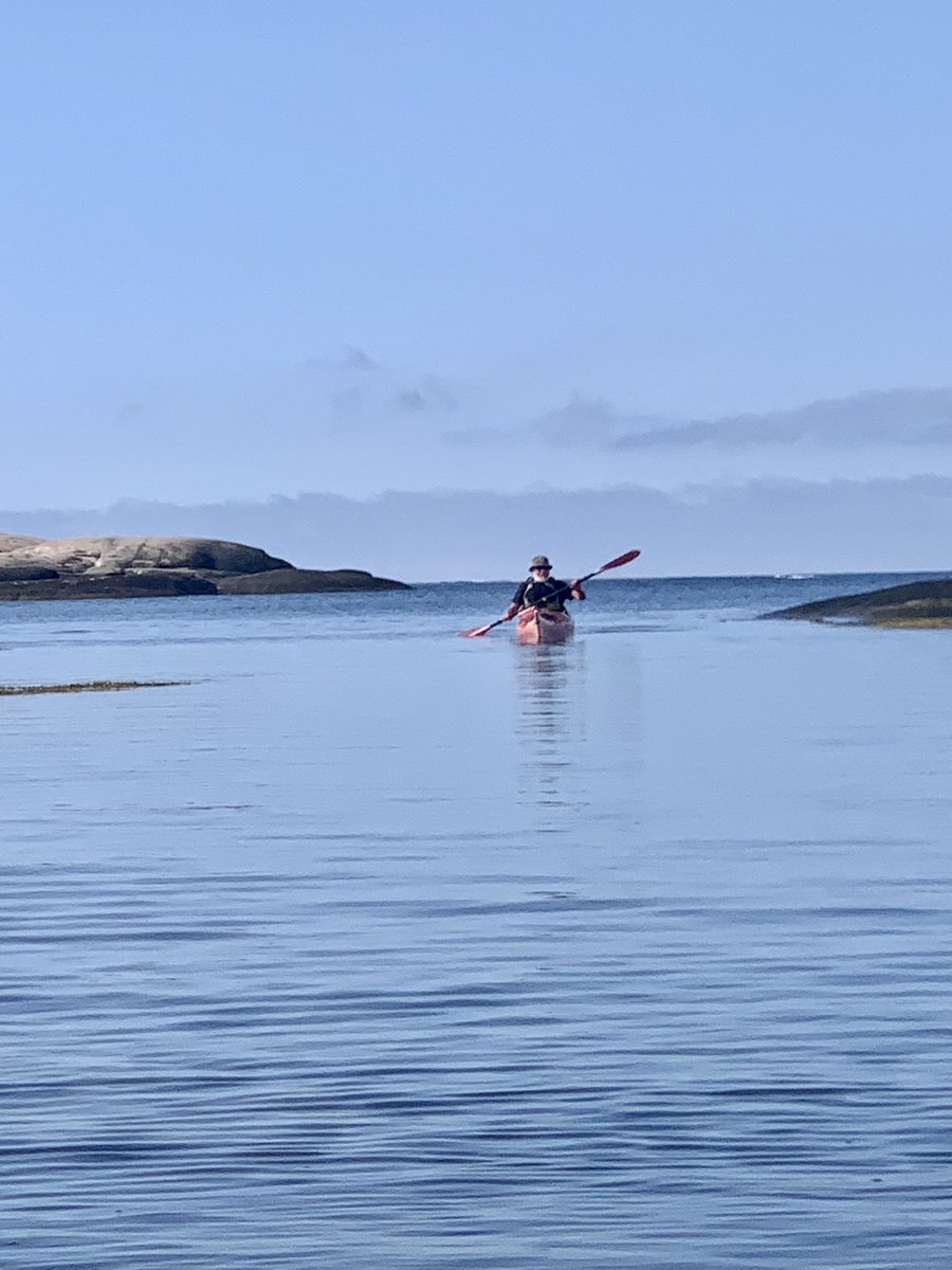 September i #Bohuslän  paddling i finaste vatten tillsammans med en och annan säl. Hägrarna  kollar intresserat och havsörnen svävar ovanför. Makrillen hoppar och båtturisterna har åkt hem🌞#Kayak #Kajak