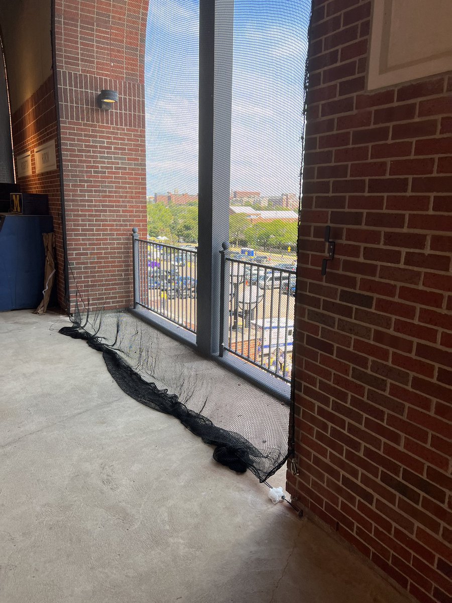 MrBegeman's tweet photo. Having nets up at Michigan stadium is ridiculous. #bighouse https://t.co/an2c9zkLYM