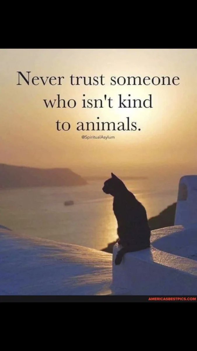 Birgitta Vaittinen (@aureliaborealis) on Twitter photo 