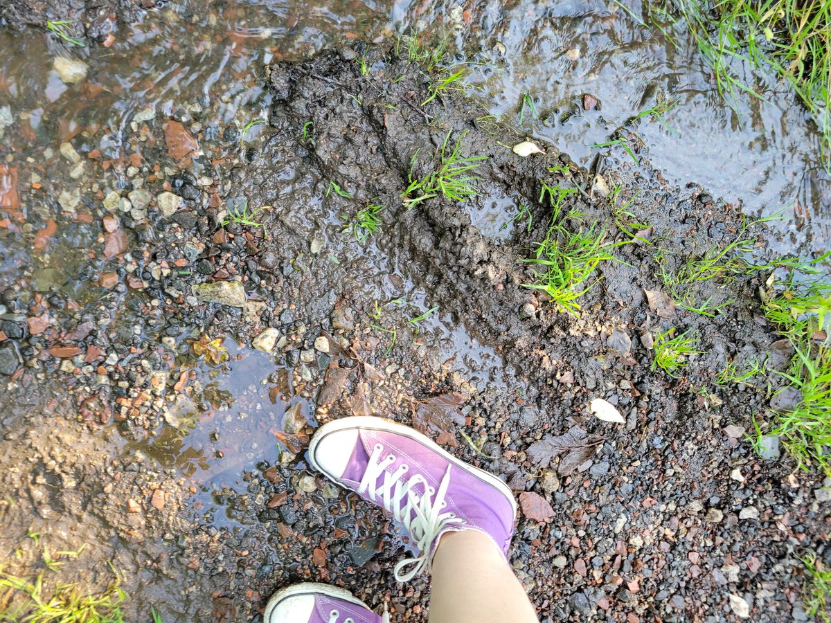 Midnight 🐞🐛🪐 tweet media