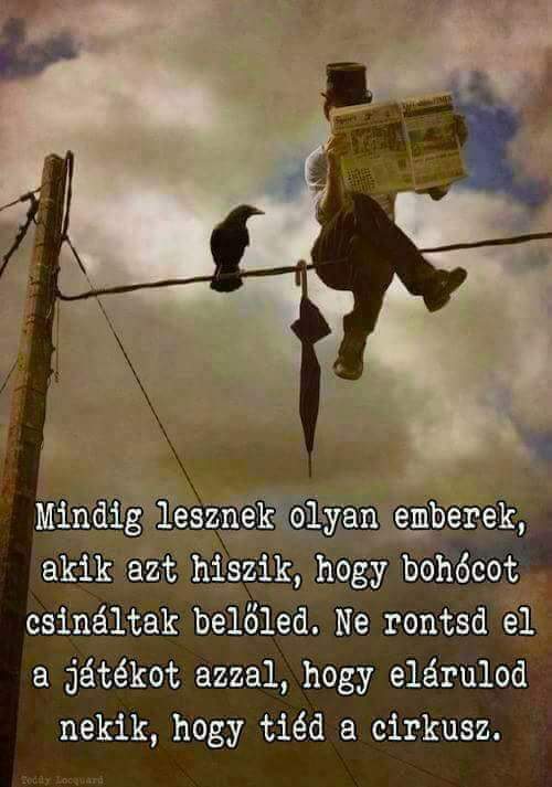 apacsaba's tweet photo. 👍 👌 🔥 https://t.co/3ih1yRT9CZ