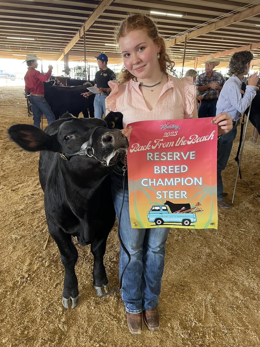 lorri03's tweet photo. A great start for this long weekend! @VB_CHHS freshman won; then Liv and Dude won reserve breed champ! @gcffareporter https://t.co/4b6wShVTtN