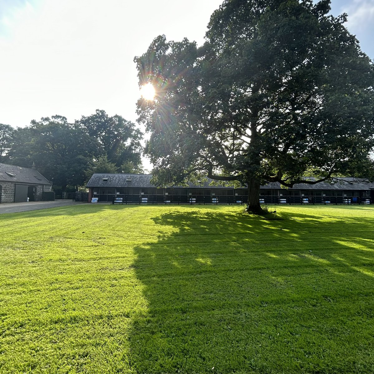 September sunshine finally ☀️