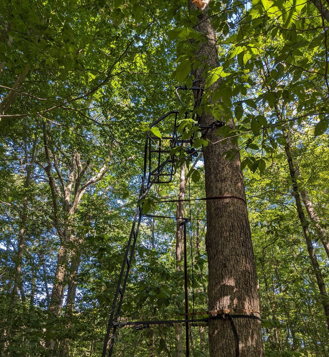 TheTradingViking tweet media