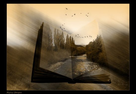 Geleceğe yer açmak için bazen geçmişin gitmesine izin vermek gerekir.
#GeceyeNotum