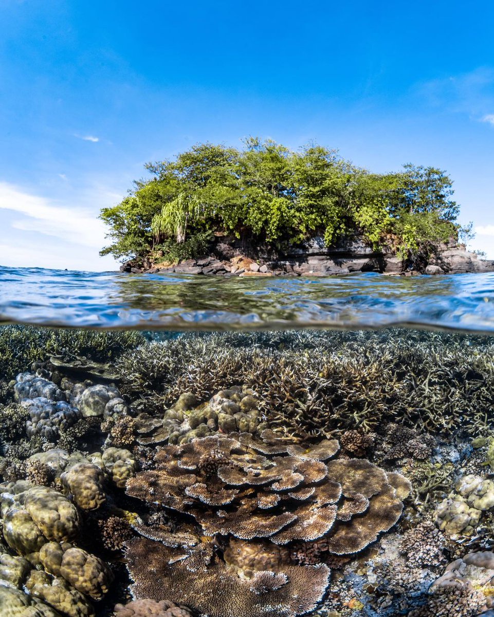 Papua New Guinea Tourism Promotion Authority tweet media