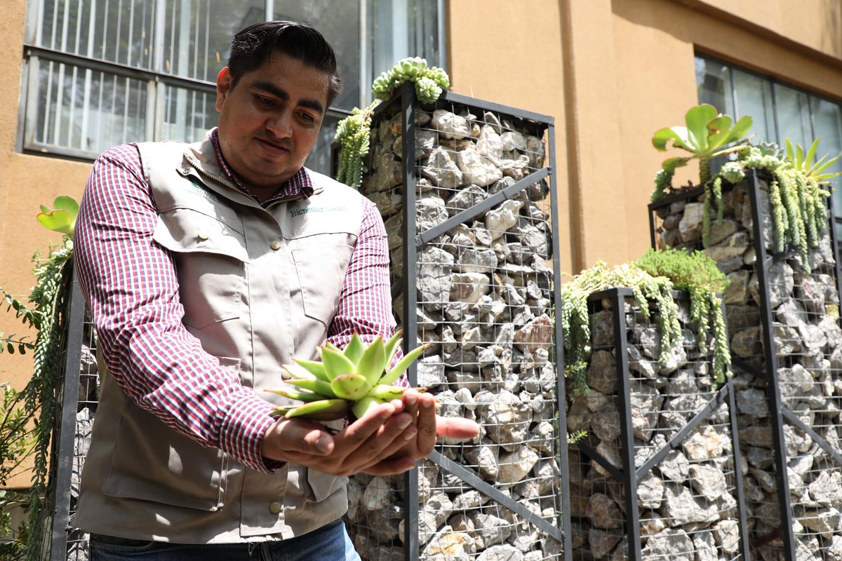Tu_IMSS's tweet photo. Ofrece #IMSS cursos para rehabilitar espacios con la instalación de huertos, muros y azoteas verdes.

🪴 https://t.co/OzxY3YyghD https://t.co/krAa9MpuDA