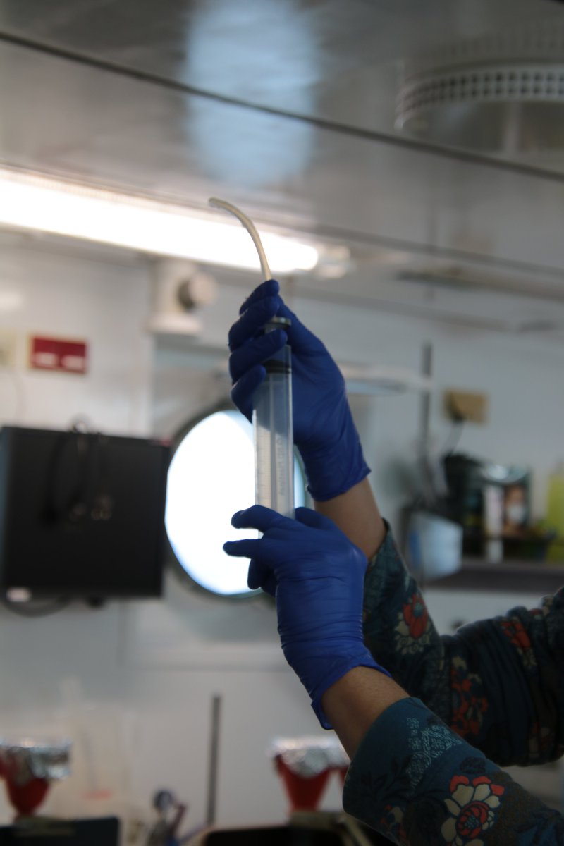 Uwe_AWIgenomics's tweet photo. FJORDChange HE627 RV Heincke: Microalgae take up atmospheric carbon to produce biomass. Master student Judith Matz is putting them on special diets to find out how efficiently they do this in different #Arctic fjords. @AWI_Media @UniOslo @HIFMB_OL @ICBM_uol @NIVAforskning https://t.co/piK2QwFc7t
