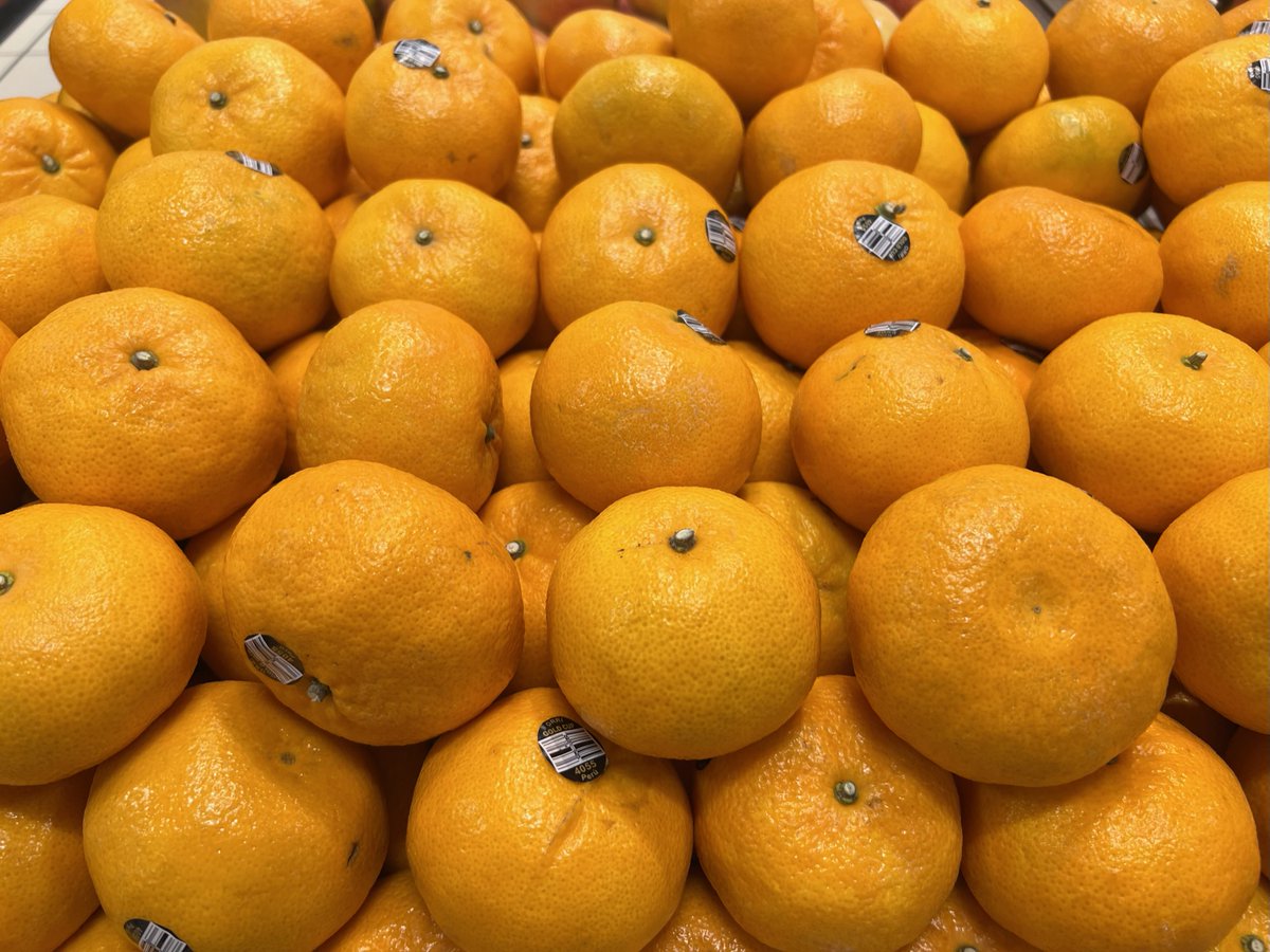 Galati Market Fresh tweet media