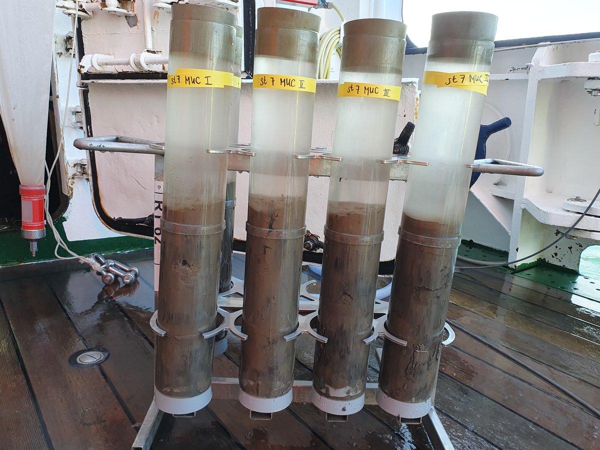 Uwe_AWIgenomics's tweet photo. FJORDChange HE627 RV Heincke: @GieslerJakob handles the multicore. The resulting sediment cores of different #arctic fjords will help to understand how #plankton changed over time since the industrial revolution. @AWI_Media @UniOslo @HIFMB_OL @ICBM_uol @NIVAforskning https://t.co/yoH6lHxTjy