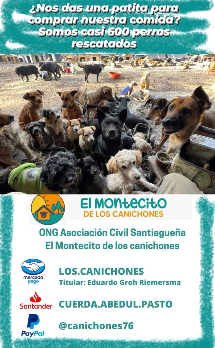 aaguvolpato's tweet photo. Los canichones necesitan comprar su morfi del mes. Los ayudamos? 💖 https://t.co/mgVK2htxkE
