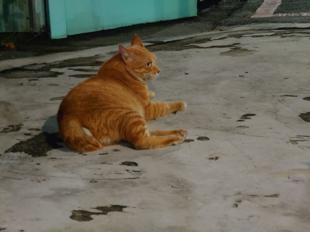 A5 (@a537691279) on Twitter photo 