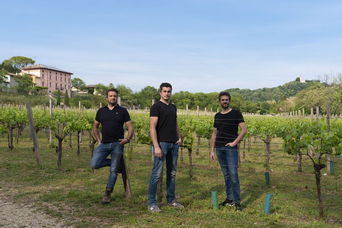 ricasoli99's tweet photo. #PinotGrigio and #Refosco are native grapes to Friuli that show their true colors...
for ex. in the wines of #Butussi Winery.
➡️ https://t.co/SvmyTZaunn
#friuliwine https://t.co/DAz3wiVKWv