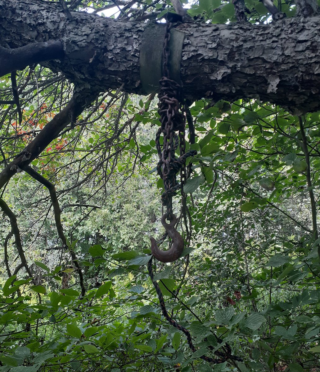 When I was a dumb teen I had a punching bag (actually just an old Army duffelbag filled with sand + gravel) & it's gone but this hook/chain/rope deal is still there to remind me that I was an idiot guy ('that poor apple tree')