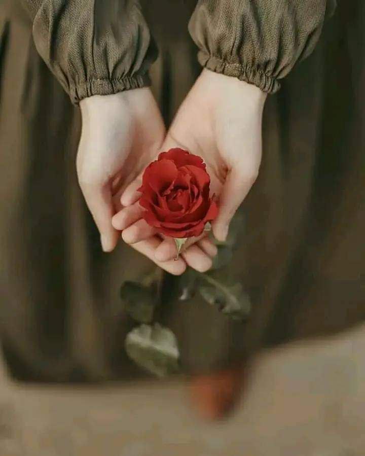 الرسائل الذاتية هي أقوى أنواع الرسائل ، وذات أثر بالغ.. 
فإن خاطبت نفسڪ بـ ضعف ، فستبقى ضعيفاً.. 
وإن خاطبتها بـ قوة ، فتأڪد أنڪ ستڪون قوياً ..

                                               مسائكم ورد جوري