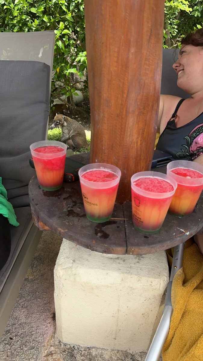 I’m not an early riser but thanks to time difference I was up at 6am so decided to have a stroll to the beach… now cocktails by the pool. Work and student mode is officially turned off! If you need me you’ll find me at the swim up bar !#punc21 #studentnurse #Mexico