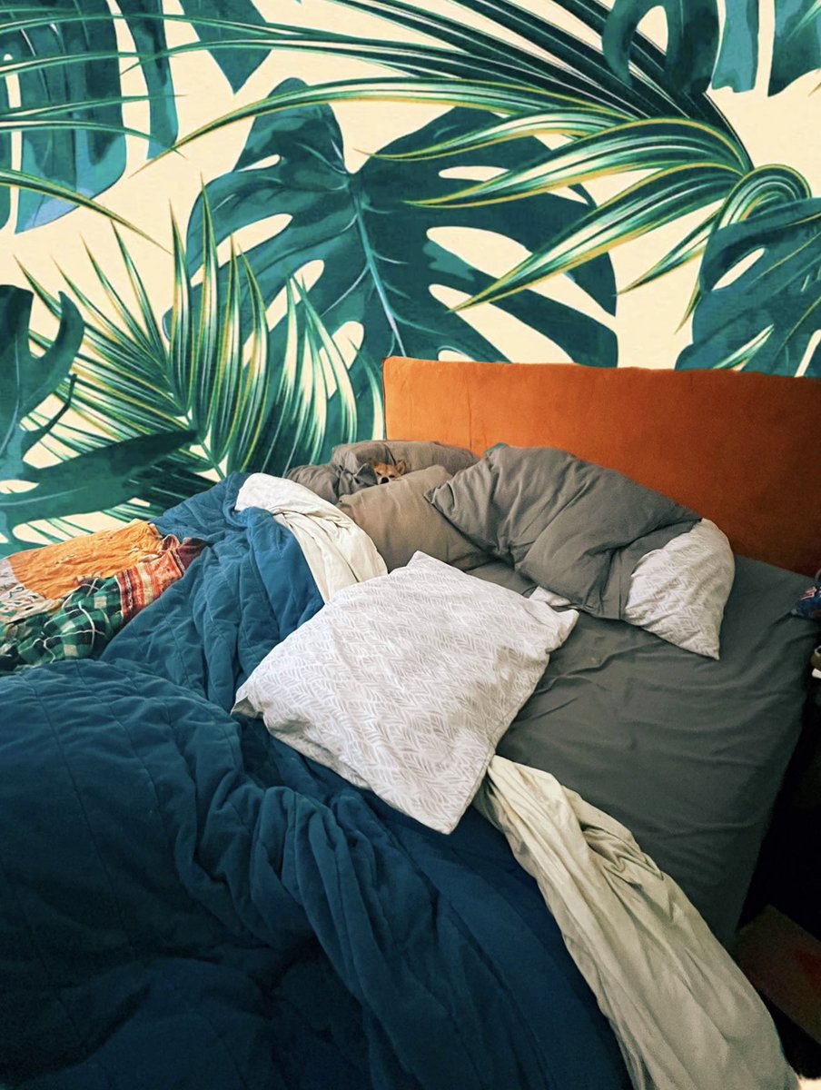 tinycaitt's tweet image. spot the shrimp 🦐