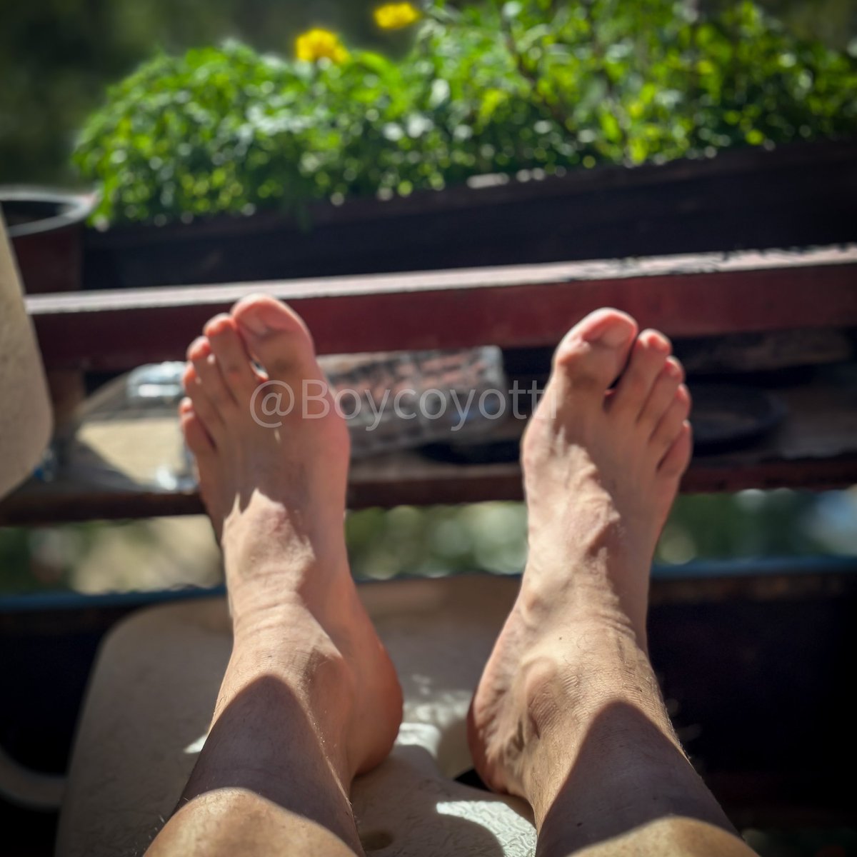 Boycoyotti's tweet photo. Imagine not seeing powerful feet. Be thankful, submit, and show your gratitude. 🦶#ThankfulSubmission #fandom #dom #master #feet_lover https://t.co/MQ6ujsQgqy