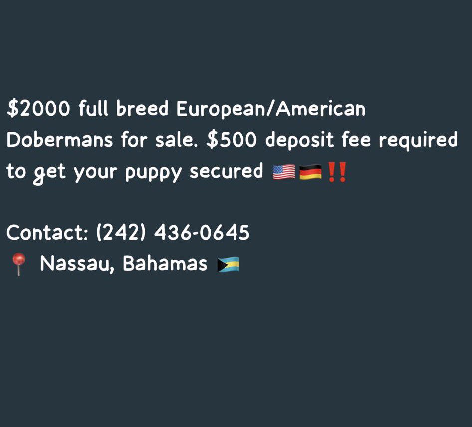 Tm0bb's tweet photo. DM or WhatsApp for further information ‼️ https://t.co/XTzXxNRhFX
