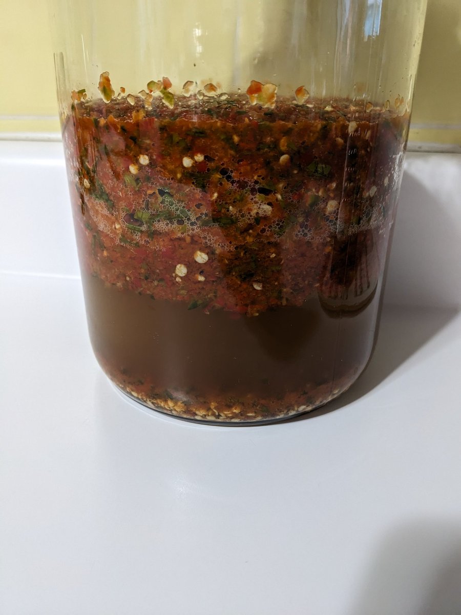 gfrommy's tweet photo. Fermentation underway. #hotsauce https://t.co/QLhPOLQqQX
