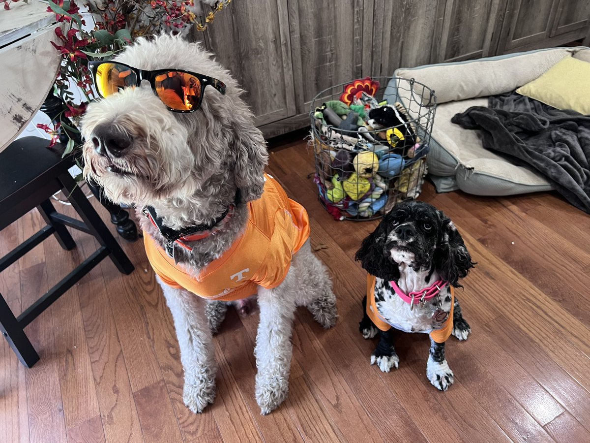 DocKatniss's tweet image. 🏈🧡GAME DAY! Caught my boy @KaybleGaming  during halftime! 🧡🏟️

#bandisfun #goodboyfriday #GBO #GoVols #RockyTop