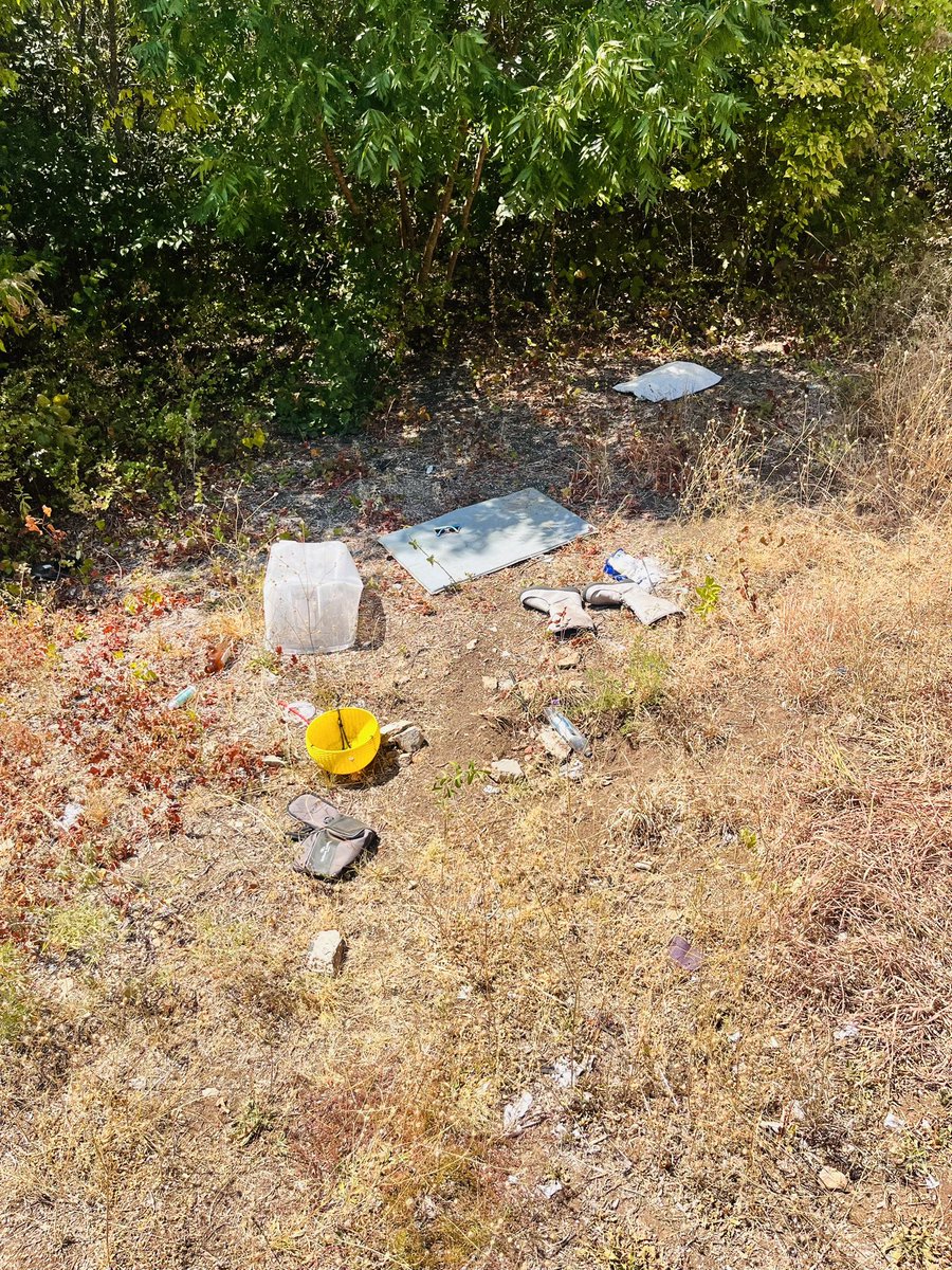 TacticalDPD's tweet image. Roscoe’s first day on patrol with Hawk consisted of checking numerous homeless encampments in the area of Marsh Ln &amp;amp; Rosemeade upon the request of city council member @caraathome