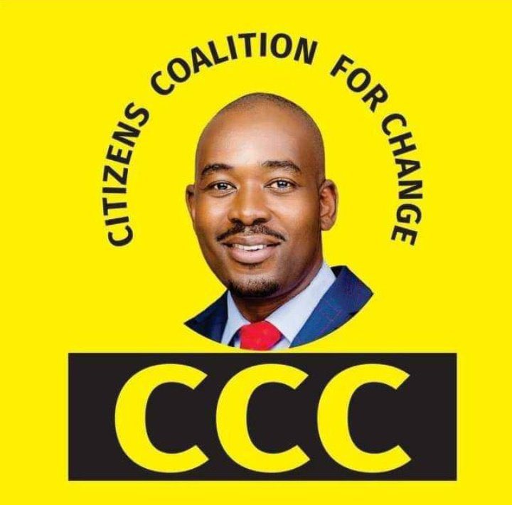 MarlvinGudyanga's tweet photo. Fellow Citizens if you agree with me that Nelson Chamisa @nelsonchamisa won the presidential election just like and repost!!! 💛 https://t.co/W1JOLGzTAH