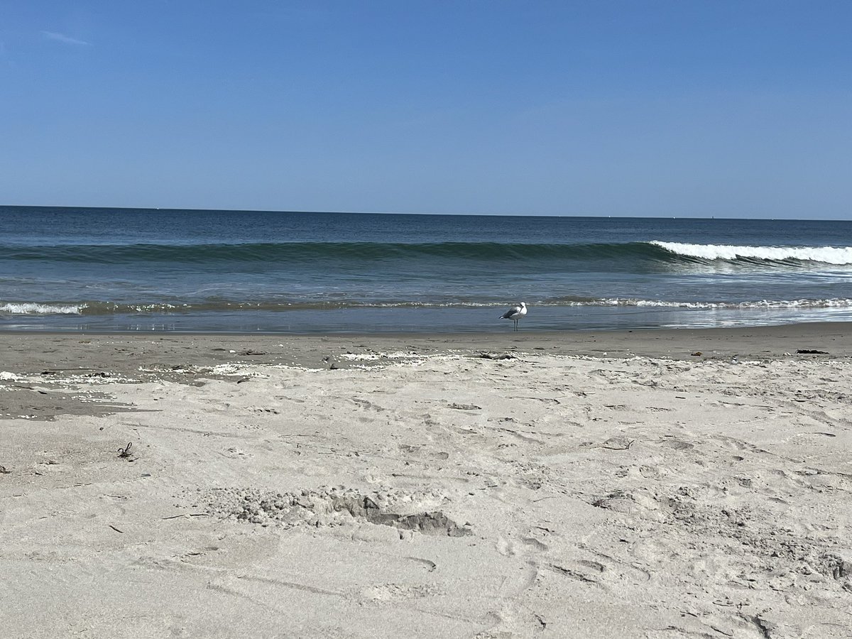 funflynns's tweet photo. Beauty of a beach day. https://t.co/aLS8XvLjkA