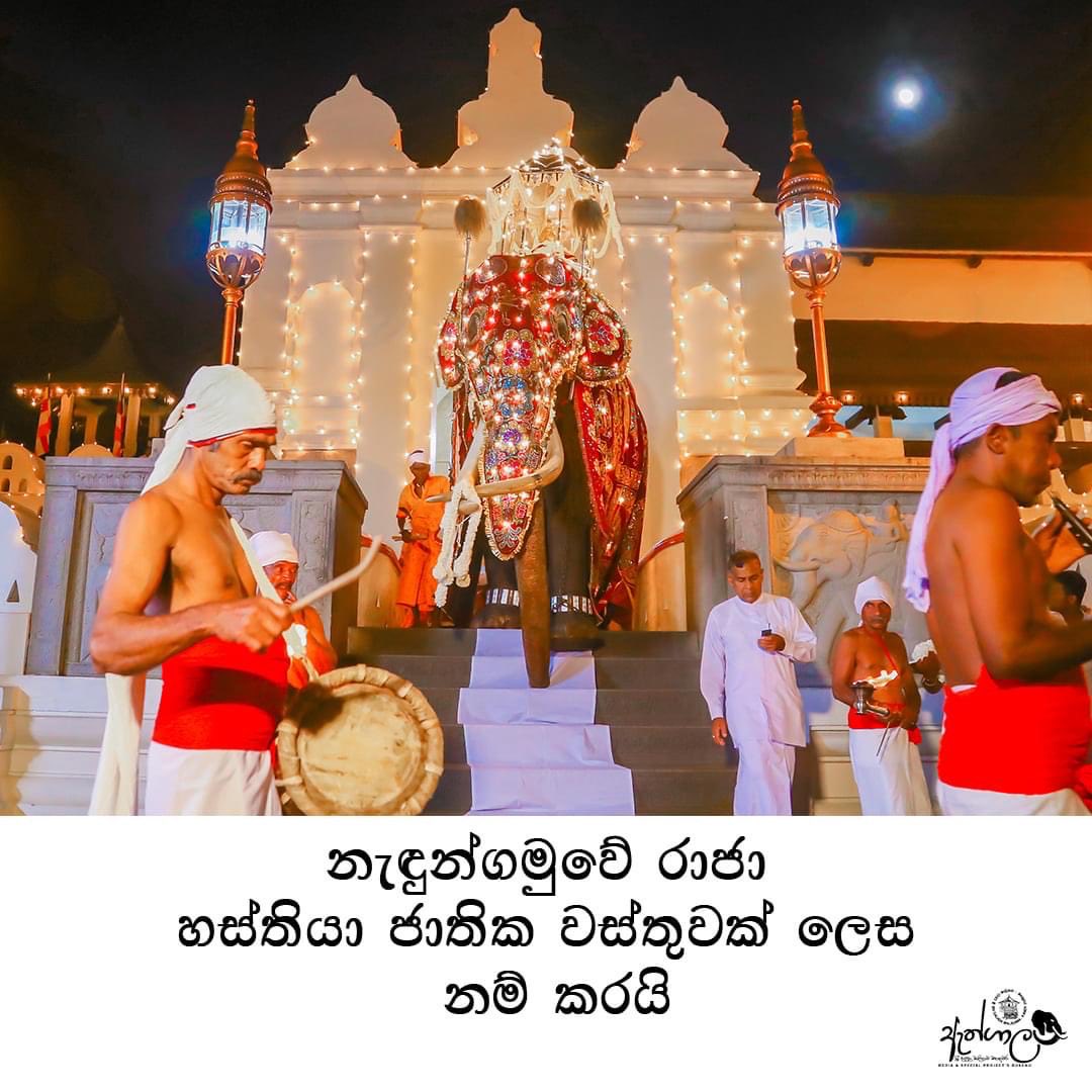 Charitha Marcus☘️ tweet media