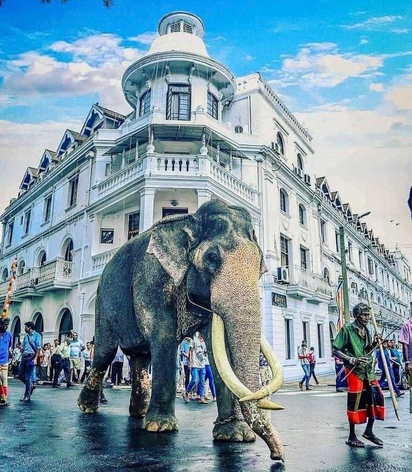 Charitha Marcus☘️ tweet media