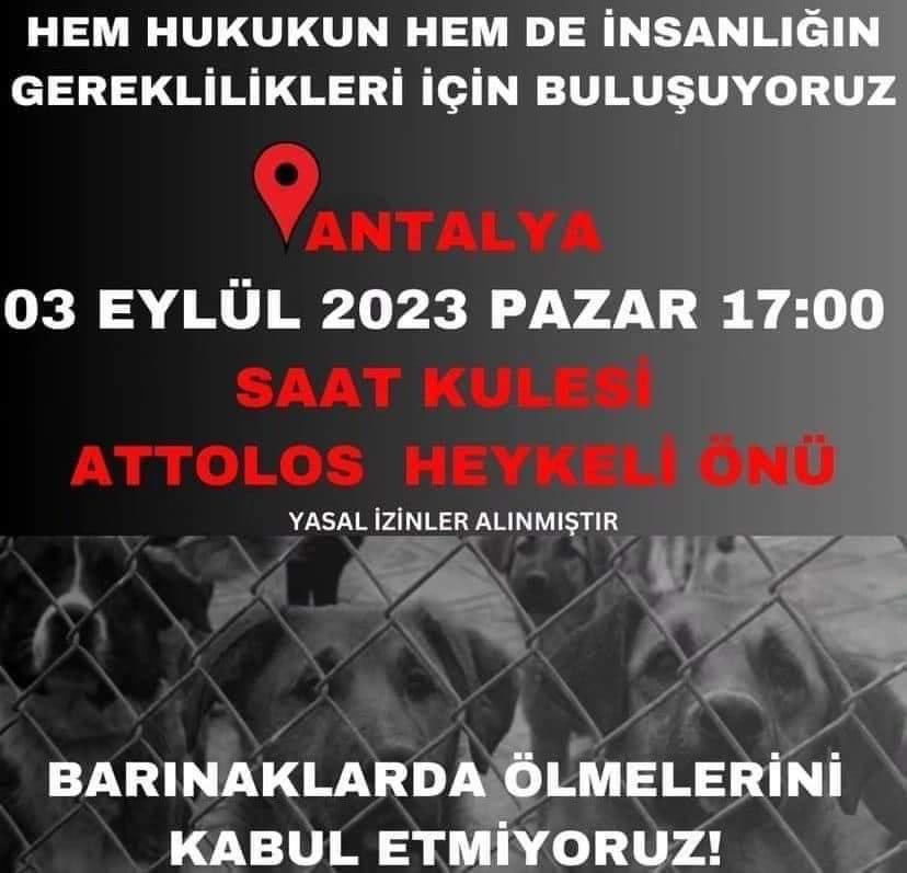 Hayvanlara KATLİAM getirecek TOPLAMA FELAKETİNE HAYIR! Demek için, ANTALYA’da 03 Eylül 2023 Pazar Günü Saat 17:00’da, Saat Kulesi Attolos Heykeli Önünde yapılacak BASIN AÇIKLAMASINA bütün duyarlı insanları bekliyoruz. (Yasal İzinler Alınmıştır.)