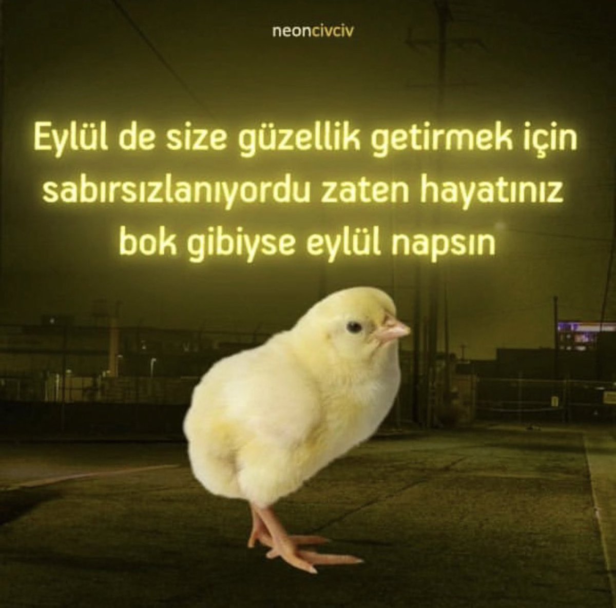 Eylül canım Eylül hoş gel diyenlere 😂😂