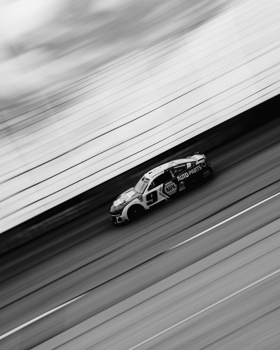 chaseelliott's tweet photo. The Lady in Black (and white) 

@theNAPAnetwork | #di9 https://t.co/4ALJx53DPn