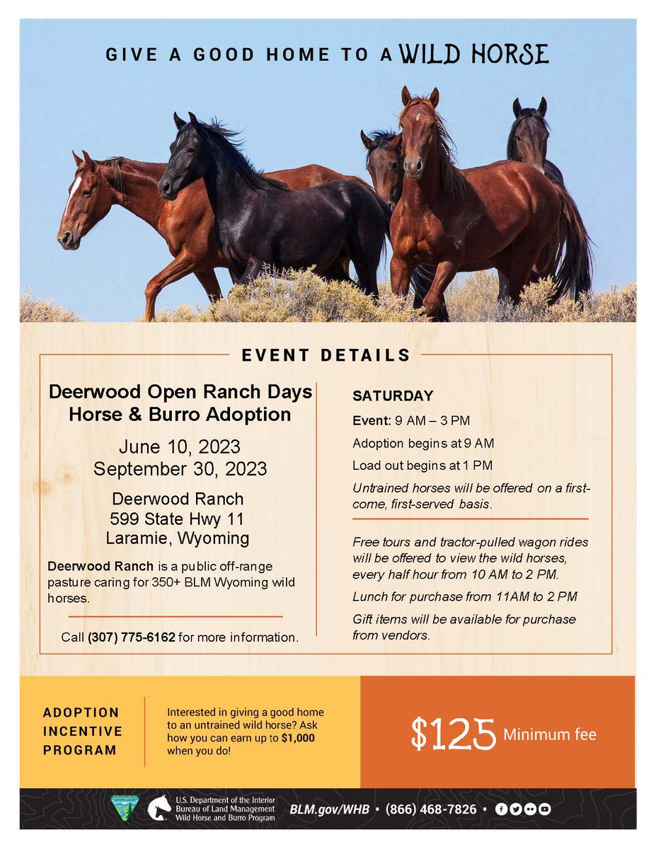 The next open ranch day and opportunity to adopt a wild horse at the Deerwood Ranch Public Off-Range is coming up! 📅Sept 30 ⌚9am-3pm 📍Deerwood Ranch Public Off-Range Pasture, 599 State Hwy 11, Laramie, WY Find more wild horse & burro adoption events: BLM.gov/WHB/events