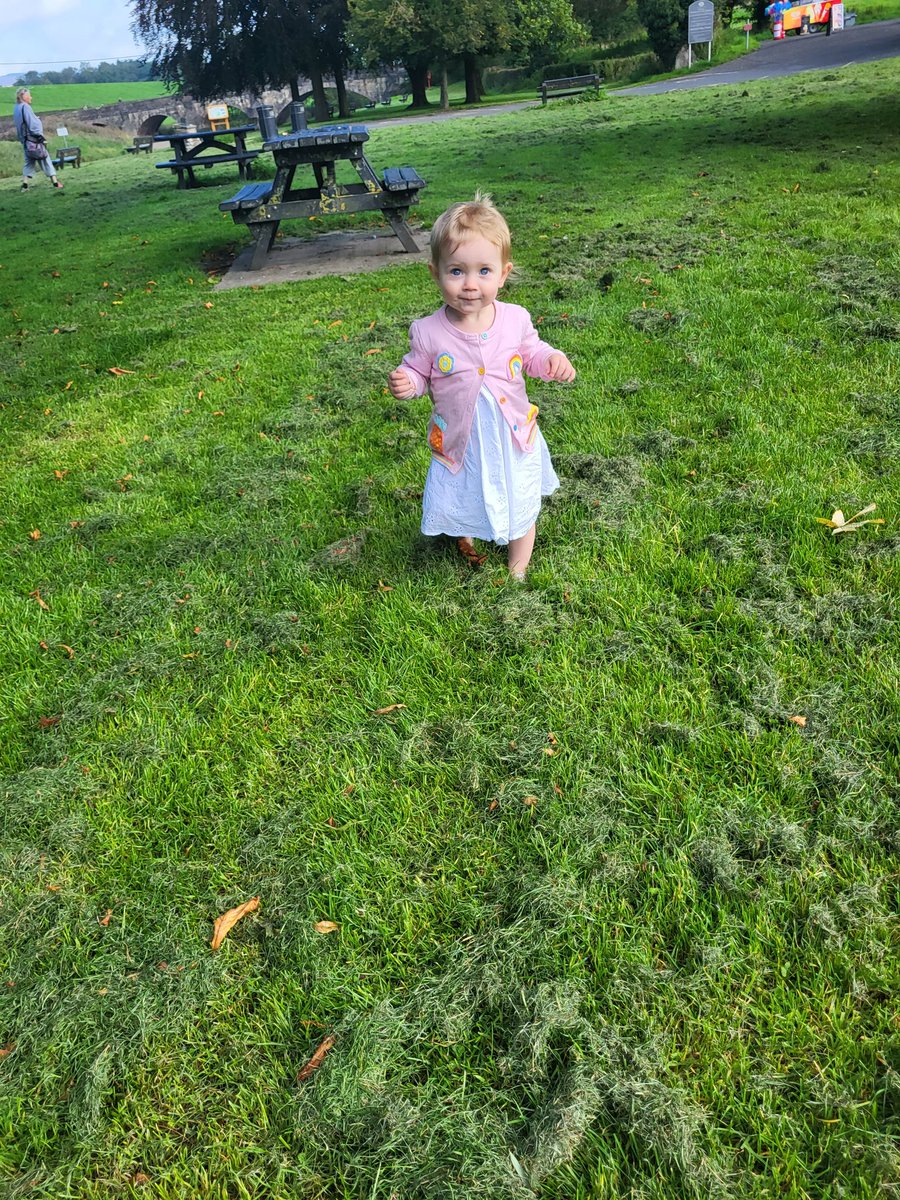 Dr Emily Cooper tweet media