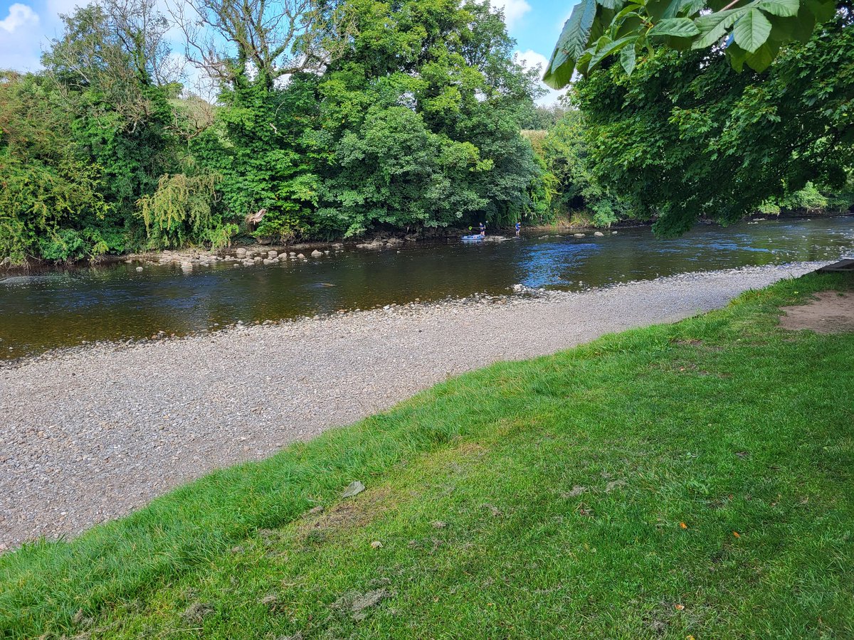 Dr Emily Cooper tweet media