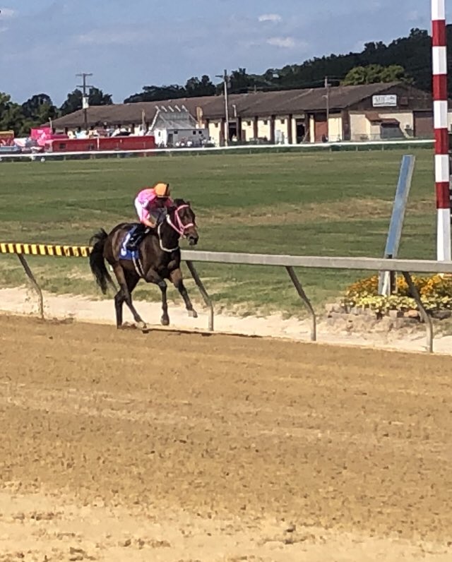 2 wins for trainer Gina Robb and 3 wins for jockey <a href="/ACrispin86/">Alexander Crispin</a> as 1st-timer Mon Gateau leads all the way in 4F maiden $25K <a href="/MDStateFair/">Maryland State Fair</a> at Timonium. 2YO <a href="/MarylandTB/">Maryland Thoroughbred</a> gelding by McCraken owned by CJI Phoenix Group.