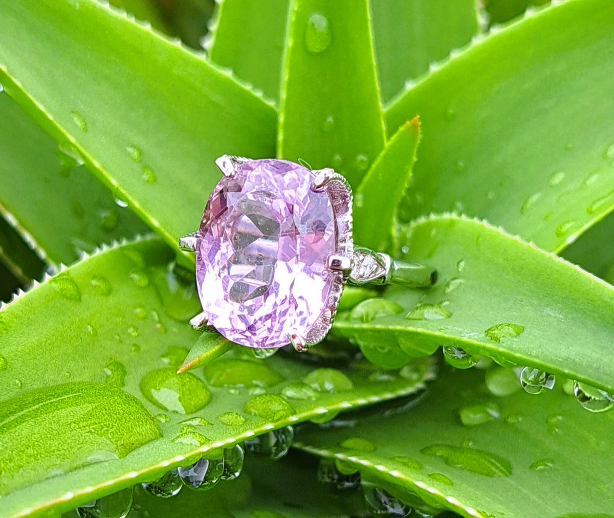 The latest addition to my #etsy shop: Kunzite Ring * 14k Solid White, Yellow or Rose Gold * 10.50 Carat Natural Pink Kunzite & Diamonds * Oval Cut Kunzite * #Ladies Ring etsy.me/3EoiqnN #pink #gold #unisexadults #prong #oval #kunzitering #goldkunzitering #pinkkunzitering