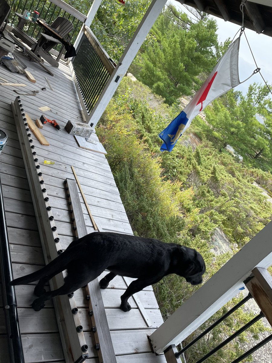 CCG_Retired's tweet photo. Last day of cottage maintenance. When this job is done I get two weeks to relax, then it’s back to Hali for me and Rizzo. https://t.co/RydQ6UWBpN