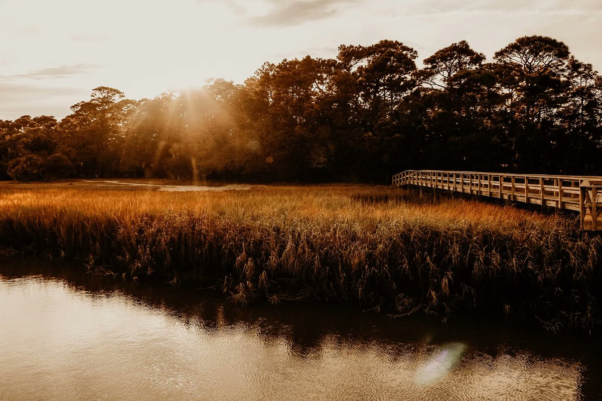FrippIslandRsrt's tweet image. It's time to #fall in love with Fripp Island Resort! Click the link below to book your #fallgetaway to Fripp Island Resort.

buff.ly/47Px0SM 

#frippinit #frippislandresort
📷 Robin Willis